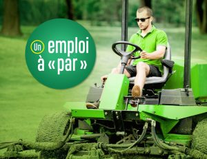 Site internet - Planification média - Recrutement
