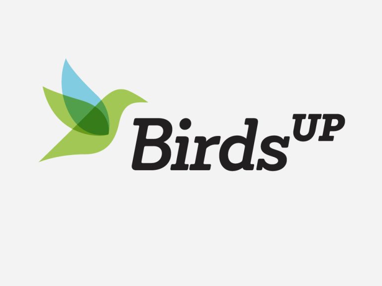 Birds Up