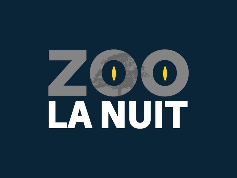 Zoo la nuit