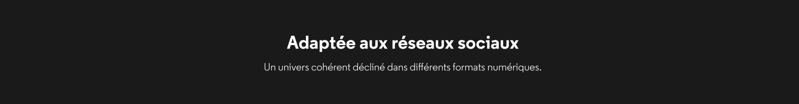 Hero banner with French title 'Adaptée aux réseaux sociaux' and subtitle about a cohesive digital universe on a dark background.