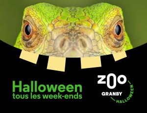 Zoo de Granby – Campagne Halloween 2026 – Campagnes promotionnelles